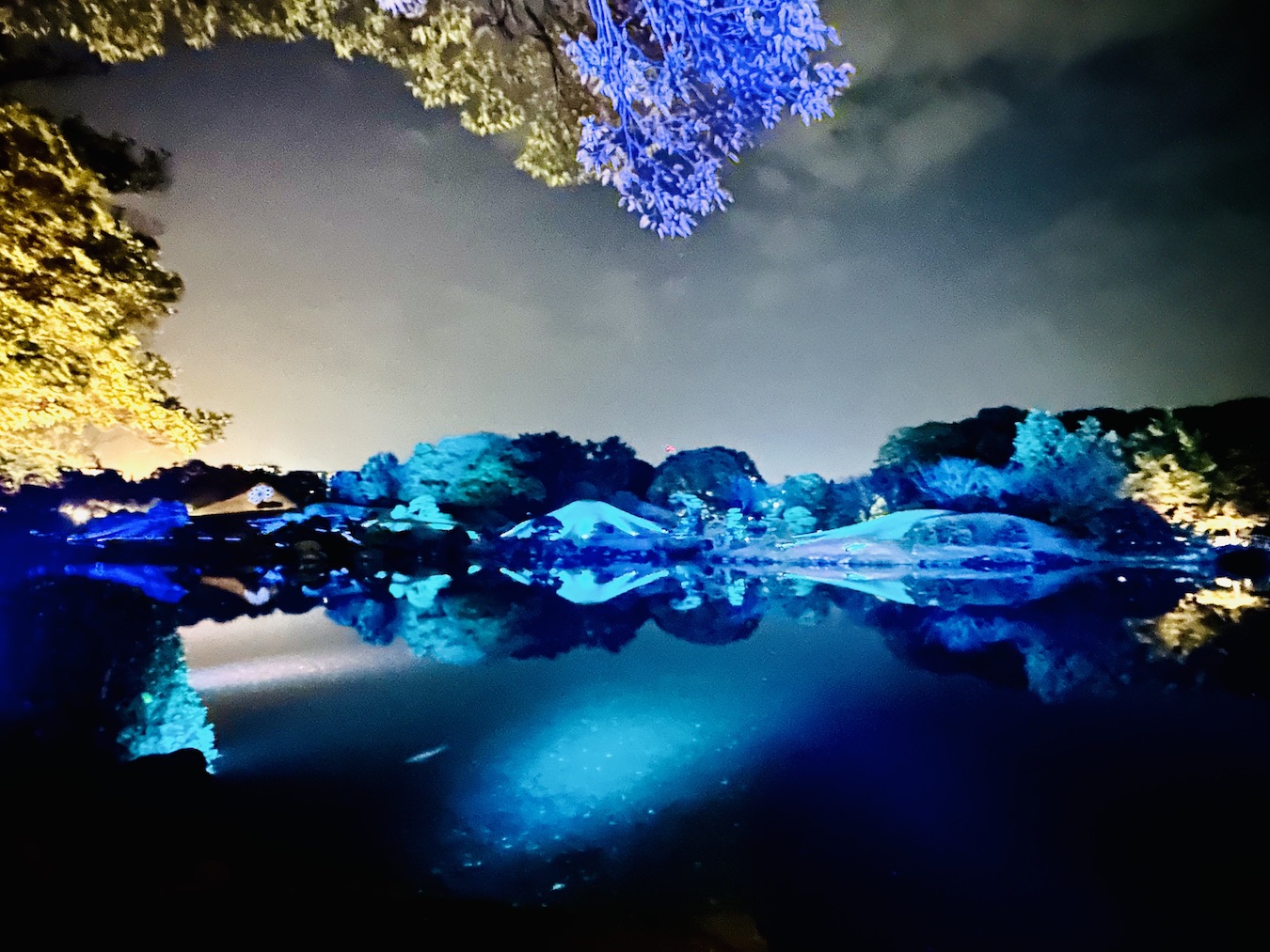 水前寺成趣園がライトアップ。「Lux Night KUMAMOTO 2025」が2025年1